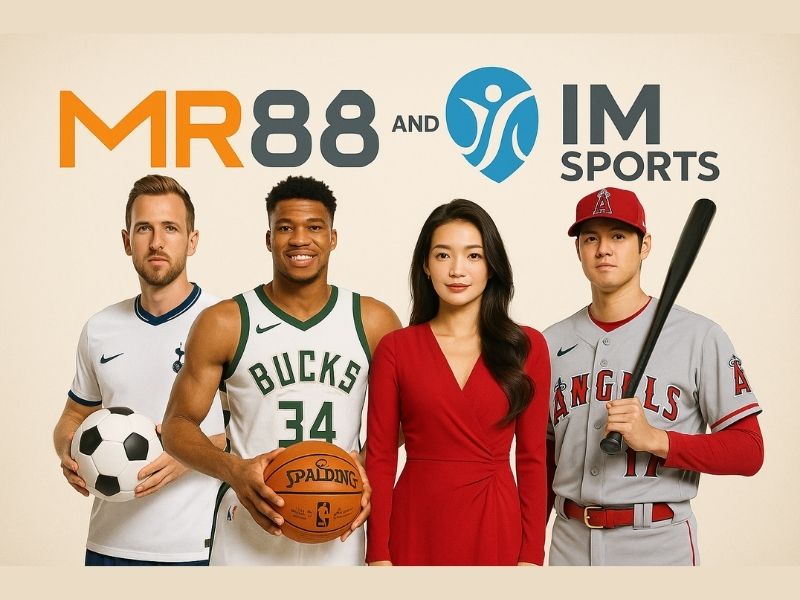 Dịch vụ và sản phẩm của Inplay Matrix