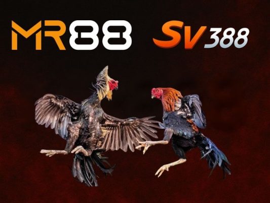 sv388 mr88-mr88